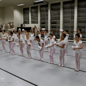 1447081245AAlunosEDTG4 (1)